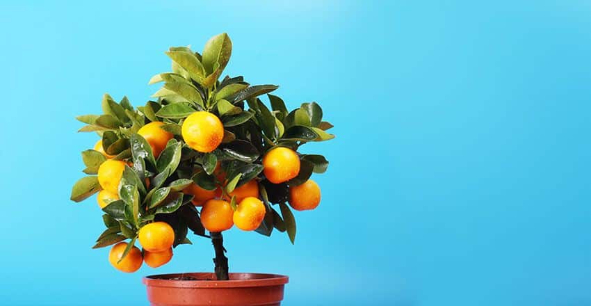 5 dôvodov, prečo začať s popredajným marketingom a ako tým zvýšiť predaj na eshope