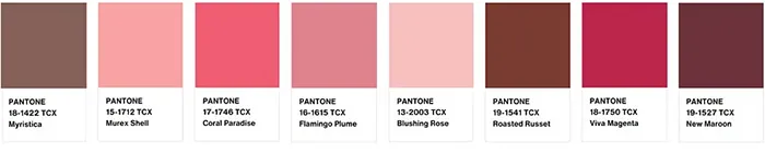 Farba roka 2023 Viva Magenta a jej využitie pri tvorbe webstránky