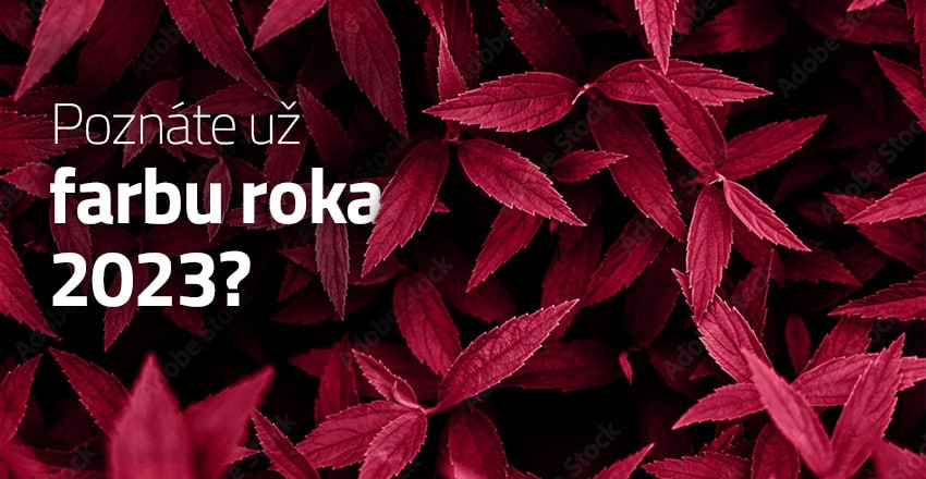 Farba roka 2023 Viva Magenta a jej využitie pri tvorbe webstránky