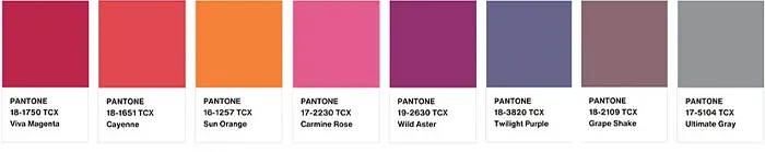 Farba roka 2023 Viva Magenta a jej využitie pri tvorbe webstránky