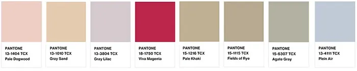 Farba roka 2023 Viva Magenta a jej využitie pri tvorbe webstránky