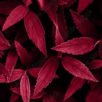 Ilustračný obrázok k článku