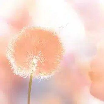 Ilustračný obrázok k článku