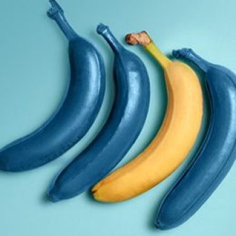 Ilustračný obrázok k článku - jeden žltý banán medzi troma modrými na svetlomodrom pozadí